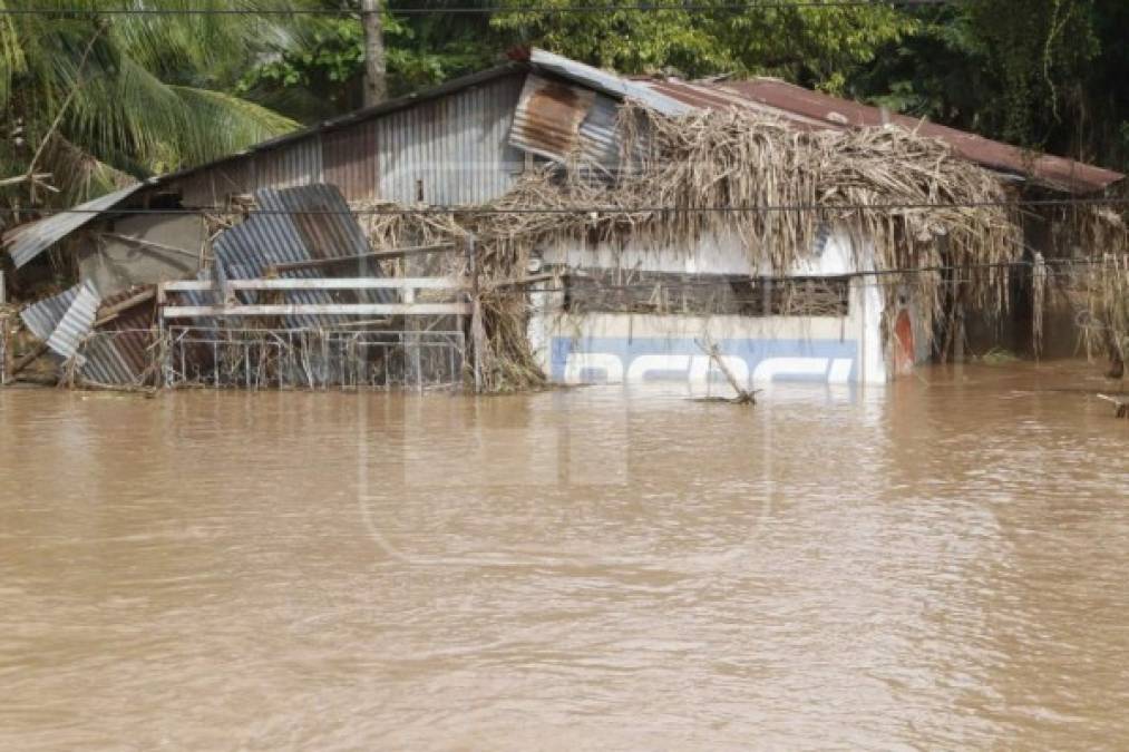 Foto: La Prensa