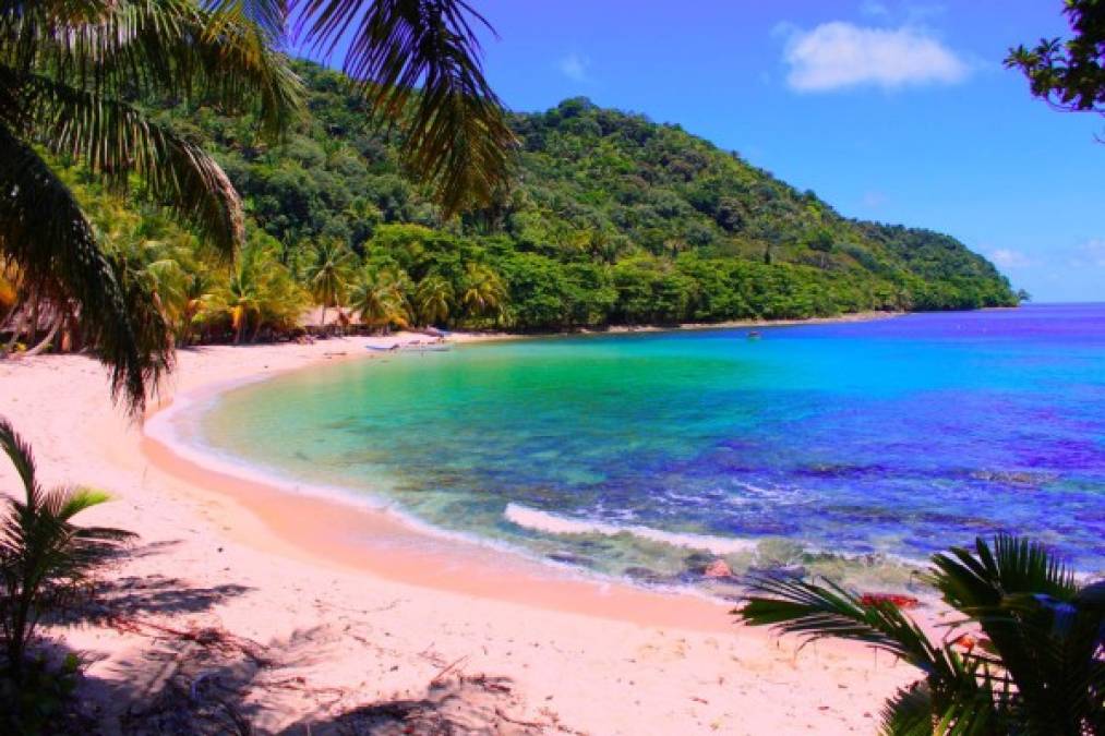 La playa Cocalito está ubicada en un costado de la península de Punta Sal (Parque Nacional Jeanette Kawas ), Tela. Está rodeada de árboles frondosos, y muchas palmeras de cocos, quizás esa sea una de las razones por la que se le llama así.