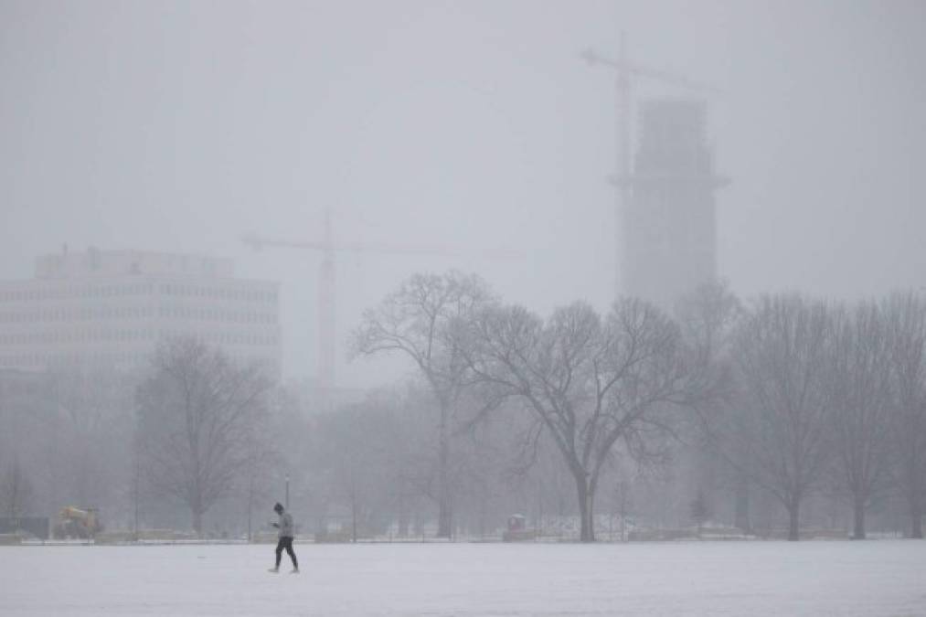 Un espeso manto de nieve cubre calles, árboles y coches en la capital del estado, Austin.