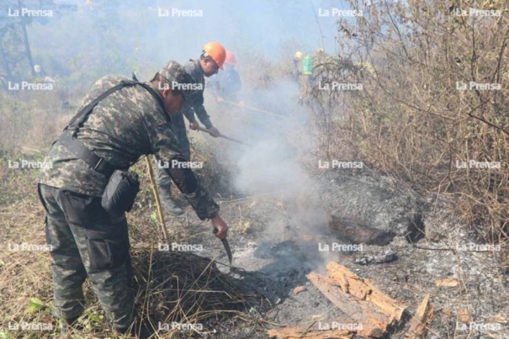 Ángel Zepeda, del ICF, dijo que afortunadamente aún los incendios no han llegado al sector de el Parque Nacional El Picacho; esta zona es resguardada por la Fundación Amigos de La Tigra.