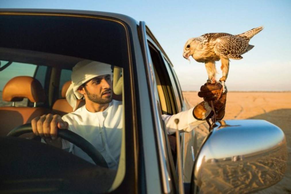 El príncipe de Dubái, Hamdan bin Mohammed bin Rashid Al Maktoum, mejor conocido como Fazza (“El valiente”), ejemplifica cómo un rico heredero también puede volverse un símbolo sexual.