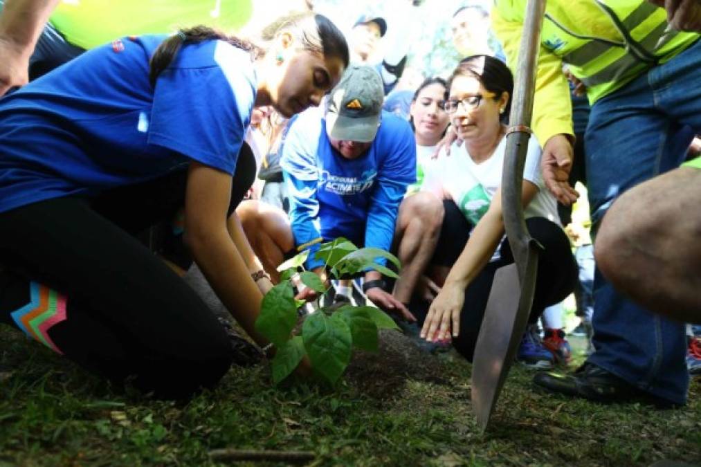 Aprovechando la actividad, varios voluntarios plantaron árboles para devolver el color verde a San Pedro Sula.