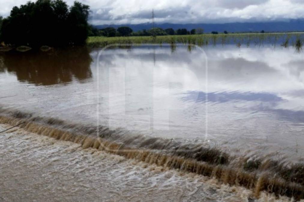 Foto: La Prensa