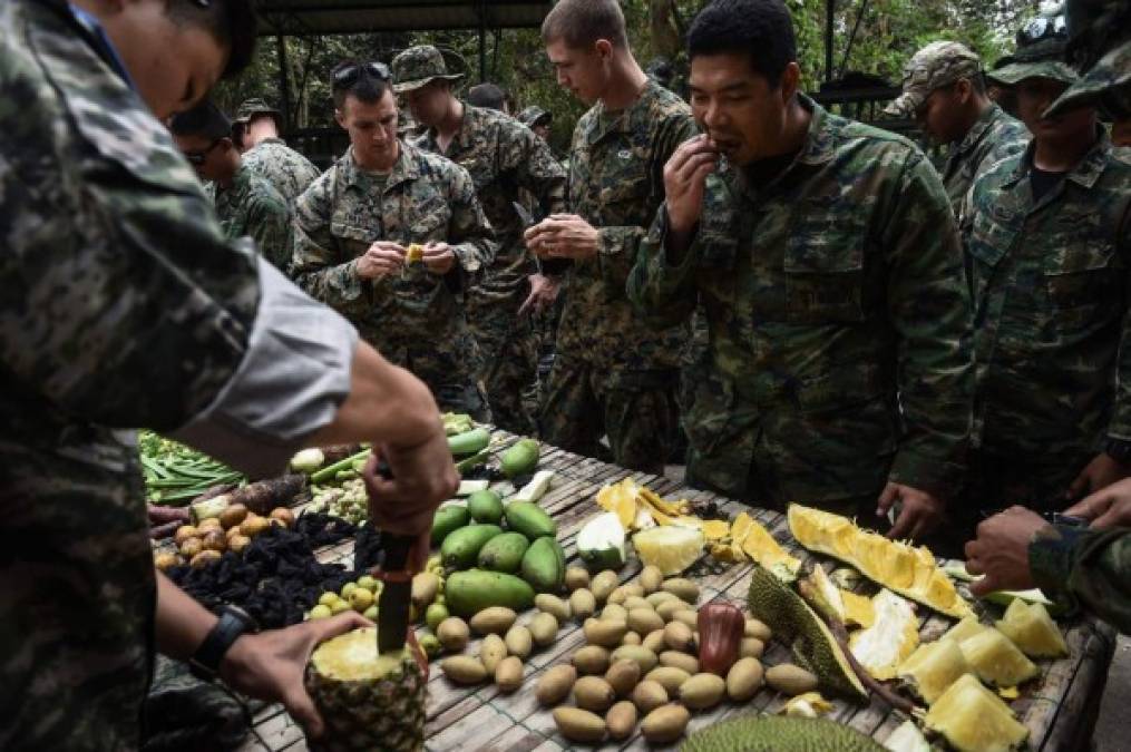 Los militares también reciben instrucciones para identificar algunas frutas venenosas.