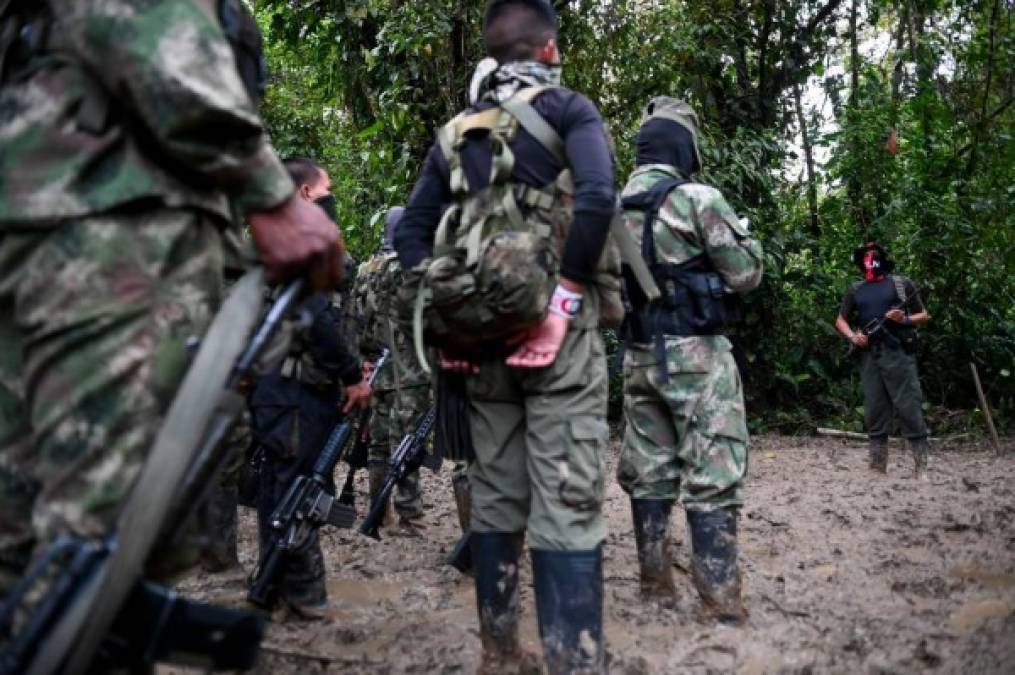 Más de 2,300 combatientes del ELN, la última guerrilla de América, se ocultan de las fuerzas de seguridad colombianas en la selva del Chocó, al noroeste del país sudamericano. Los bombardeos militares han cercenado sus fuerzas y obligado a que se muevan con más frecuencia y menos tropa.