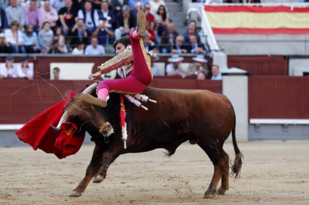 El novillero Alejandro Marcos sufre un revolcón, durante la décima octava de la feria de San Isidro, tercera novillada con picadores, en la que comparte cartel con el peruano Joaquín Galdós y el mexicano Luis David Adame ante reses de la ganadería de El Puerto de San Lorenzo y La Ventana del Puerto. EFE/Juanjo Martín