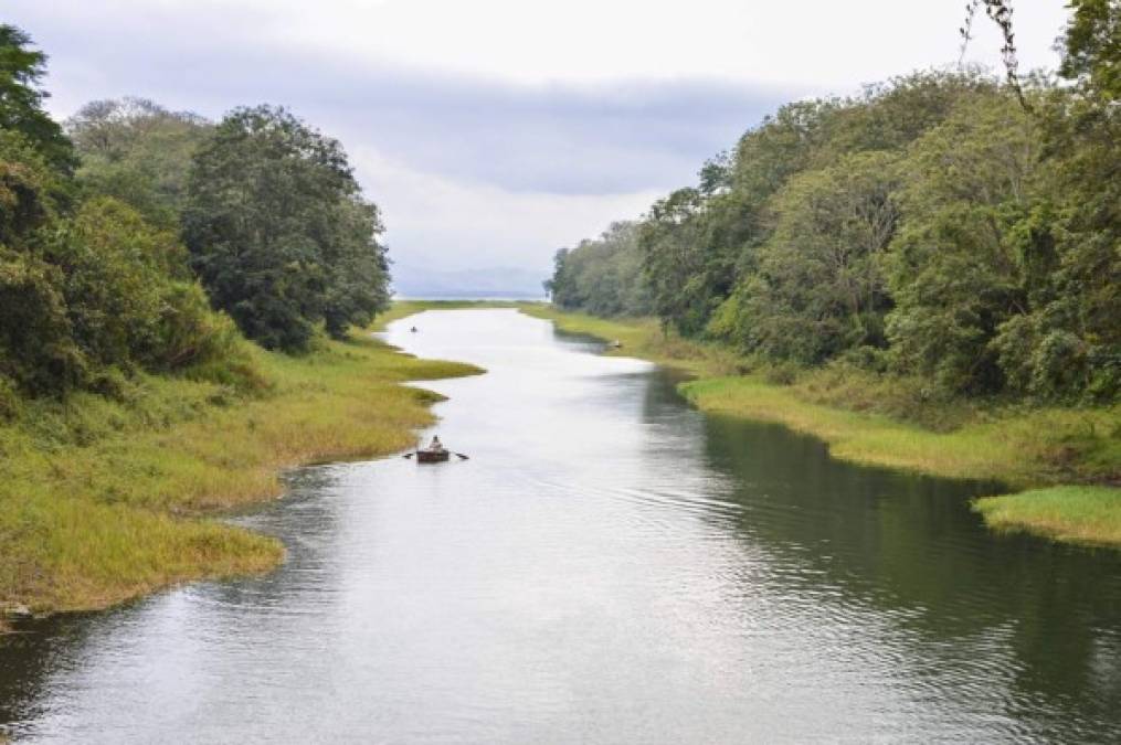 El canal donde se encuentra el parque nacional Los Narajos está a la orilla del Lago de Yojoa, entrando por un desvío de tres kilómetros que comienza justo antes de llegar a la comunidad de Peña Blanca.