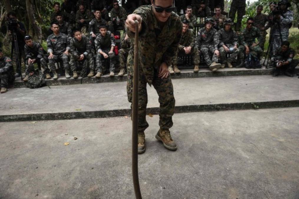 Luego, un marine estadounidense debe manipular a la cobra para posteriormente darle muerte y beber su sangre.