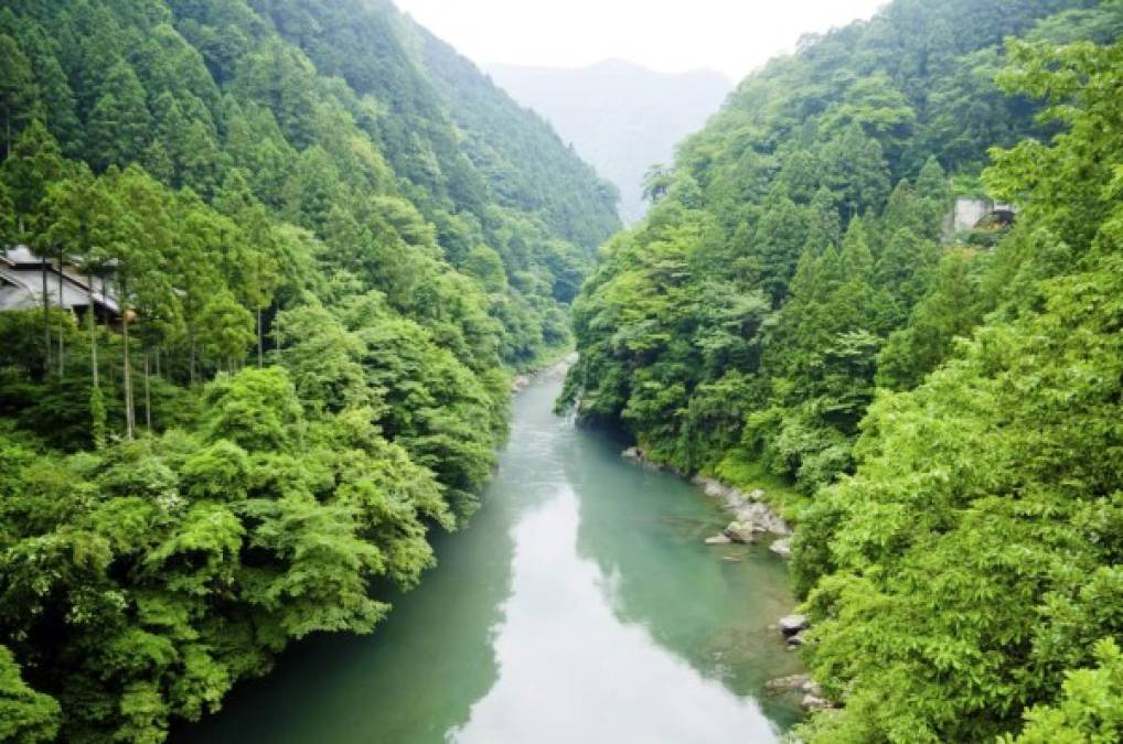 La Reserva de la Biosfera de Río Plátano está localizada en La Mosquitia, la región en la costa caribeña de Honduras. Tiene una extensión de 5250 km² y abarca tanto montañas como tierras bajas de selva tropical con una gran biodiversidad. La reserva ha sido declarada Patrimonio de la Humanidad y Reserva de la Biosfera por la Unesco, en el año 1980.