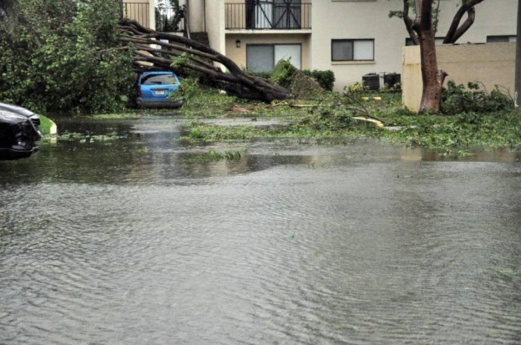 Foto: La Prensa