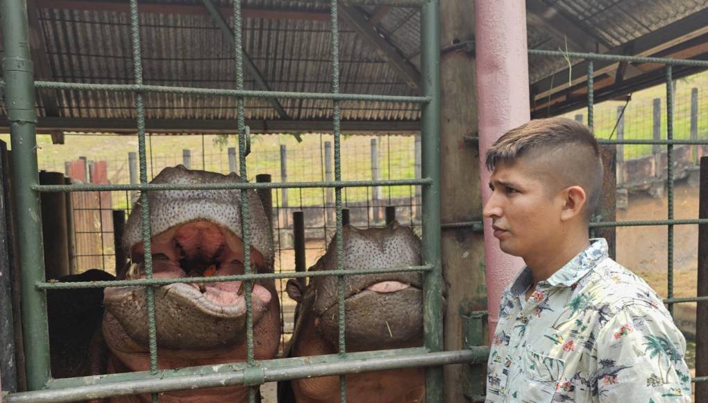 Los empleados del zoológico Joya Grande no han dejado de atender a los animales.