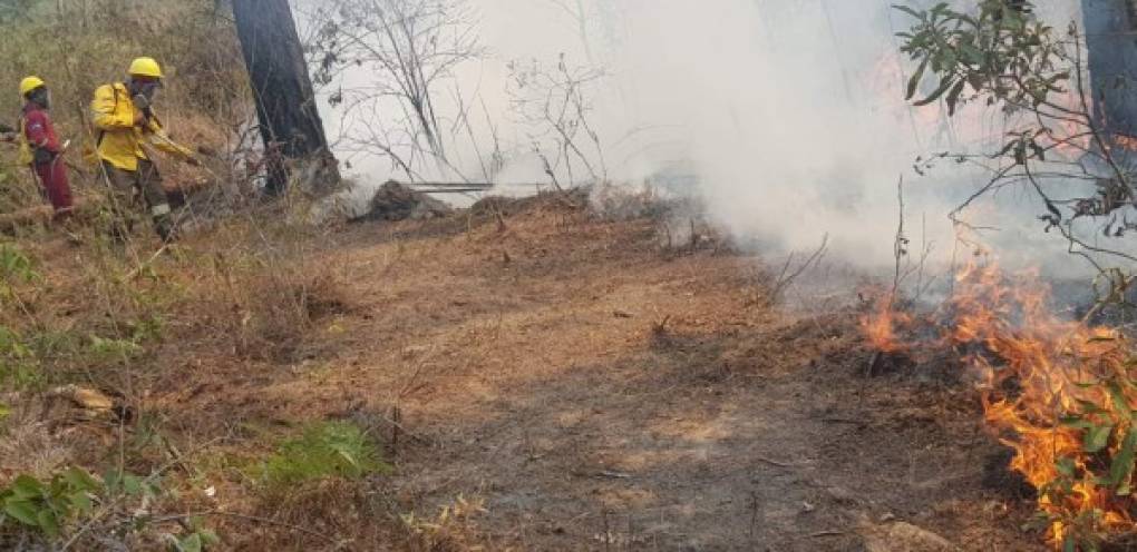 Las personas que trabajan para apagar el fuego se convierten en héroes sin capa para salvar los bosques y comunidades de Honduras. Foto: ICF