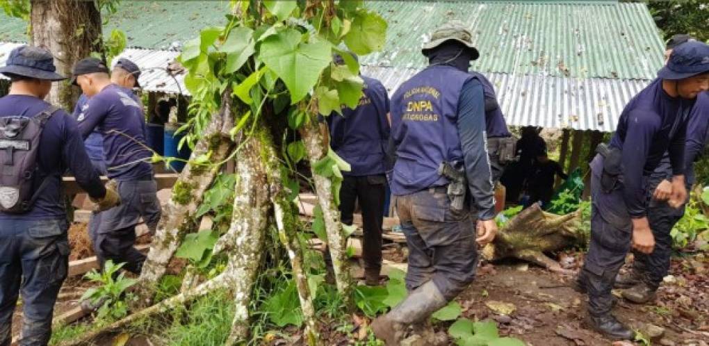 En la misma zona el pasado 26 de agosto las autoridades policiales destruyeron 100 mil plantas de coca y dos narcolaboratorios.