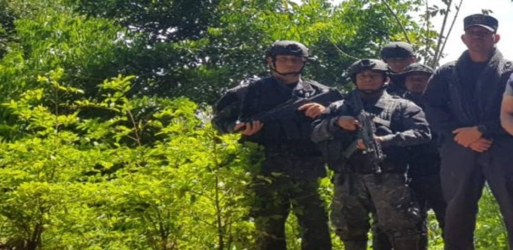 El despliegue policial se desarrolló este viernes en el cerro El Guanacaste el municipio de Iriona, en el departamento de Colón.