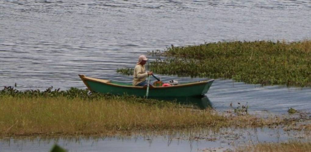Muchos pescadores de la zona viven de las divisas que proporciona la venta del pescado fresco o frito que pescan en el Lago de Yojoa. El Lago también se aprovecha para la cría de peces de exportación. <br/>