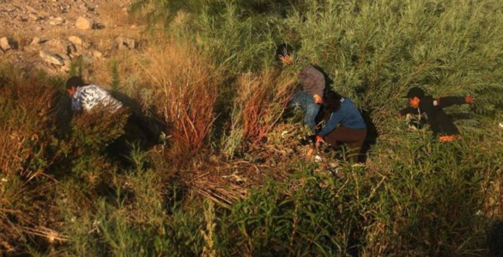 'Ya se fueron para otros lados, por aquí ya está muy tranquilo', dice uno de los oficiales que dirige el operativo en el Puente Negro de Juárez al diario mexicano La Jornada.