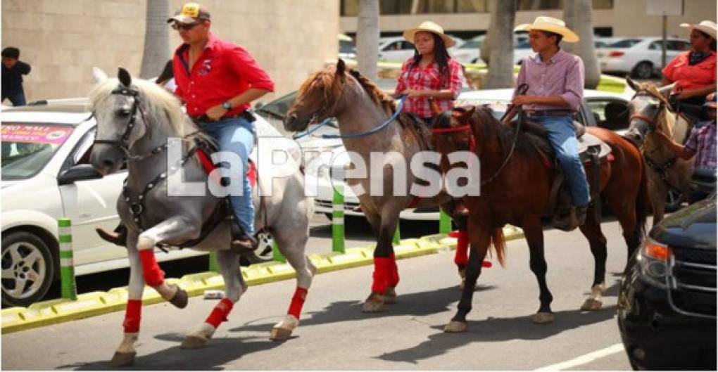 Esta actividad permite que todas las familias puedan disfrutar de momentos de distracción; cabe indicar que el desfile hípico es una festividad tradicional que caracteriza a San Pedro Sula.