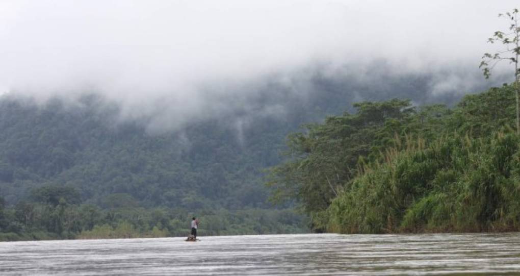 3 | Río Patuca (Honduras) - 500 kilómetros - Atraviesa la selva de la Mosquitia hondureña y desemboca en el mar Caribe. Es un atractivo esplendoroso para extranjeros, por su biodiversidad.
