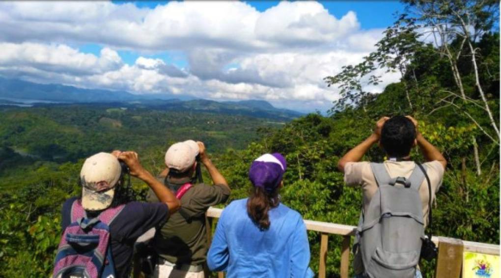 Honduras cuenta con unas 764 especies de aves (según Ebird) y los lugares más apetecibles para realizar aviturismo están:<br/>- Lago de Yojoa<br/>- Montaña de Celaque<br/>- La Muralla en Olancho<br/>- Olanchito<br/>- Omoa y el Sur de Honduras