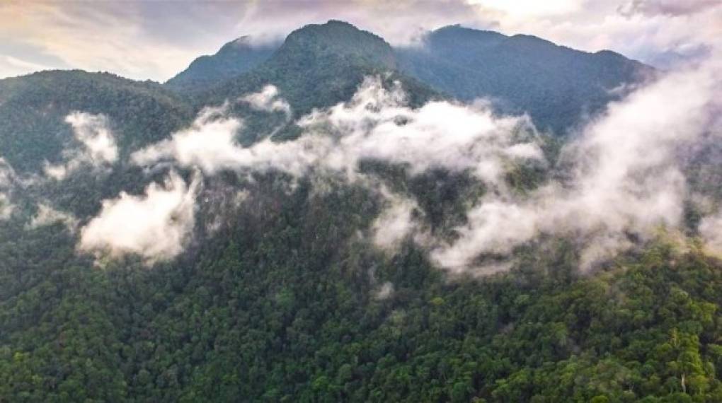 Pico Bonito en La Ceiba es otro de los sitios que captaron en todo su esplendor.