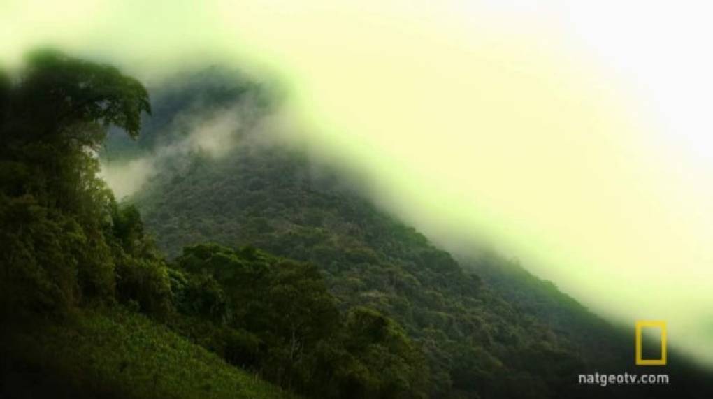 Las belleza de La Mosquitia y su mitología mantienen a Honduras en el ojo de los arqueólogos del mundo.