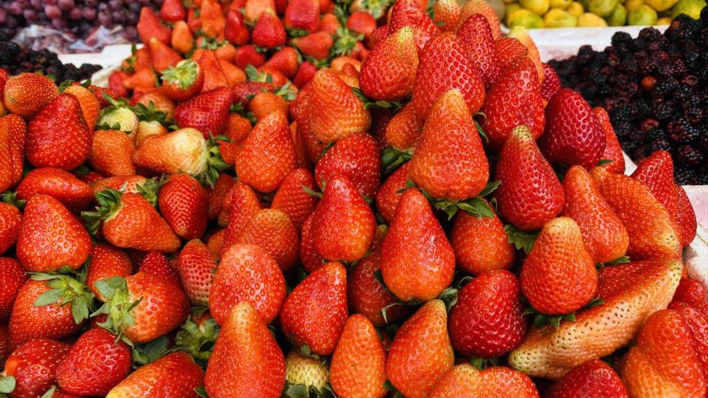 Intibucá es el departamento hondureño que más fresas produce y se plantean estrategias para exportar el dulce fruto.