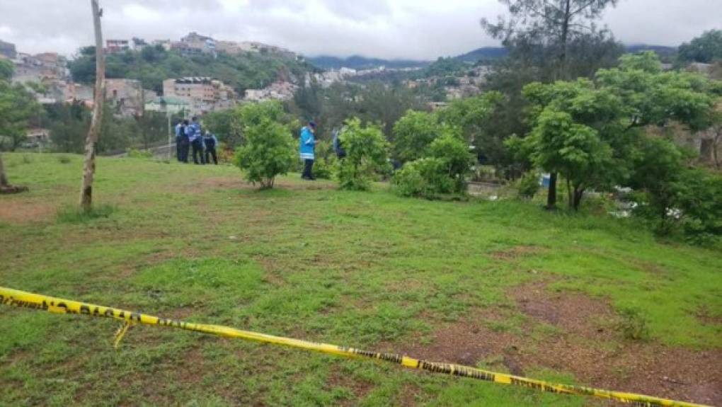 Las víctimas, que no han sido identificadas, fueron sacadas por la fuerza de su vivienda y llevadas a un pequeño cerro en el oriente de Tegucigalpa, donde fueron asesinadas, unos con arma de fuego y otros con puñal.