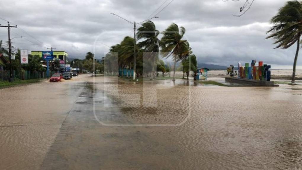 Se espera que la fuerza de los vientos de Eta crecerá entre la tarde del lunes y la madrugada del martes.