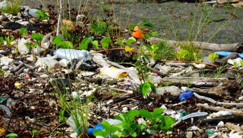 El alcalde de Omoa agregó que “la zona 13 de la capital de Guatemala sigue tirando la basura al río” y acepta que “ni un municipio fronterizo de Guatemala, ni Omoa en Honduras, tienen un relleno sanitario o sistema adecuado”.