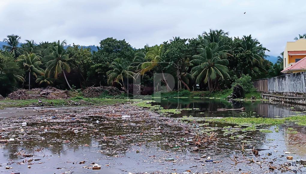 Destrucción ambiental frente al mar en Masca, Omoa