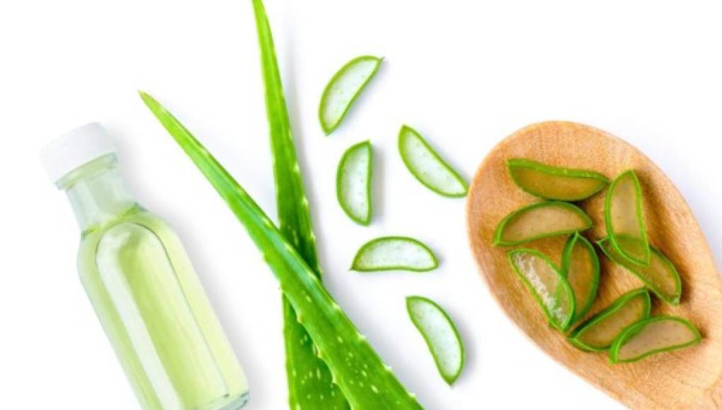 El aloe vera y su poder nutritivo