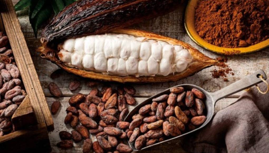 Los grandes poderes que hace el cacao en nuestra salud