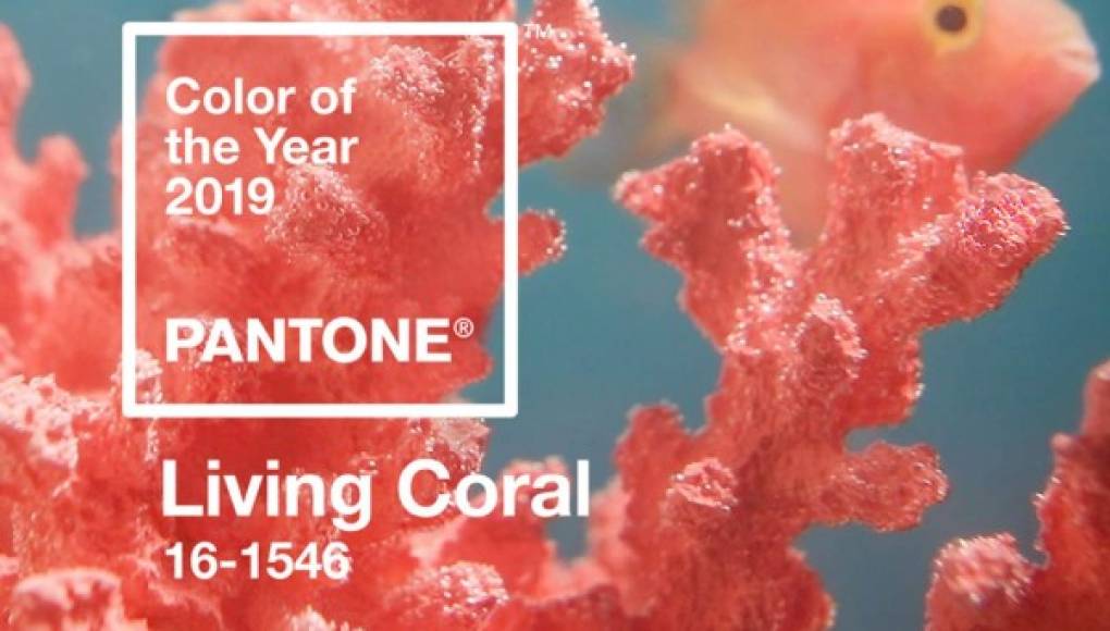 Pantone anuncia el color oficial del 2019