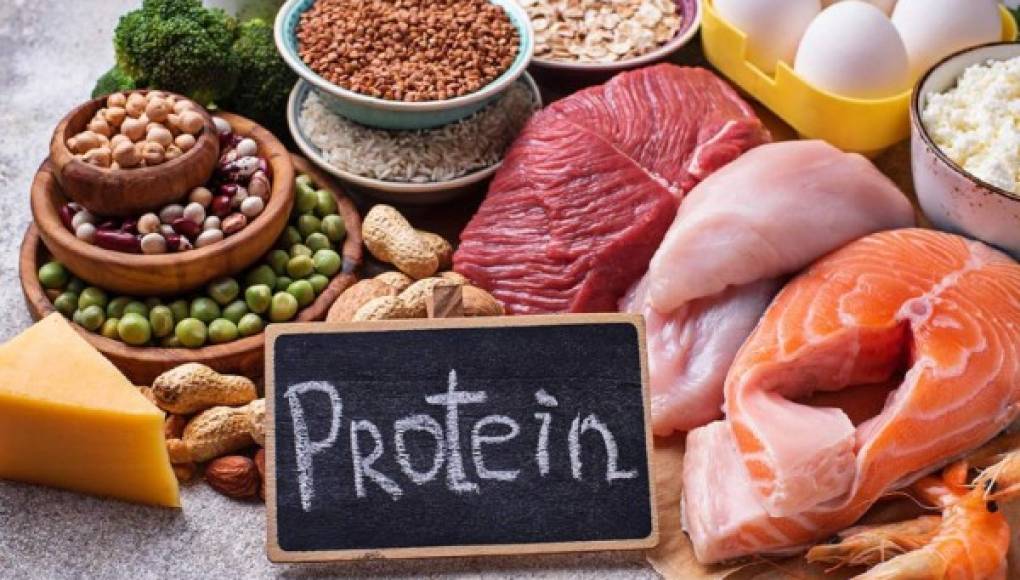 Qué son las proteínas, sus beneficios y propiedades ﻿