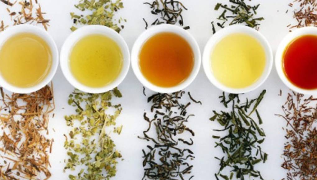 Los distintos tipos de tés y sus propiedades