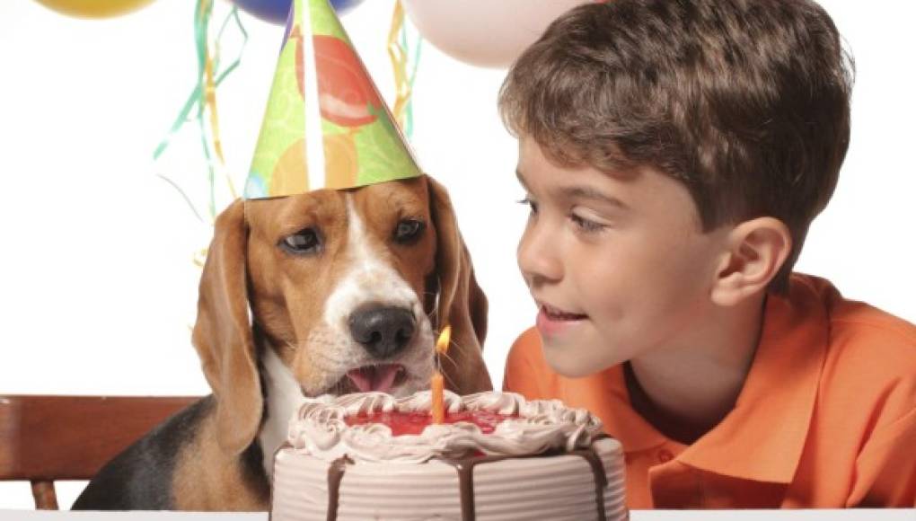 Consienta a su mascota en su cumpleaños