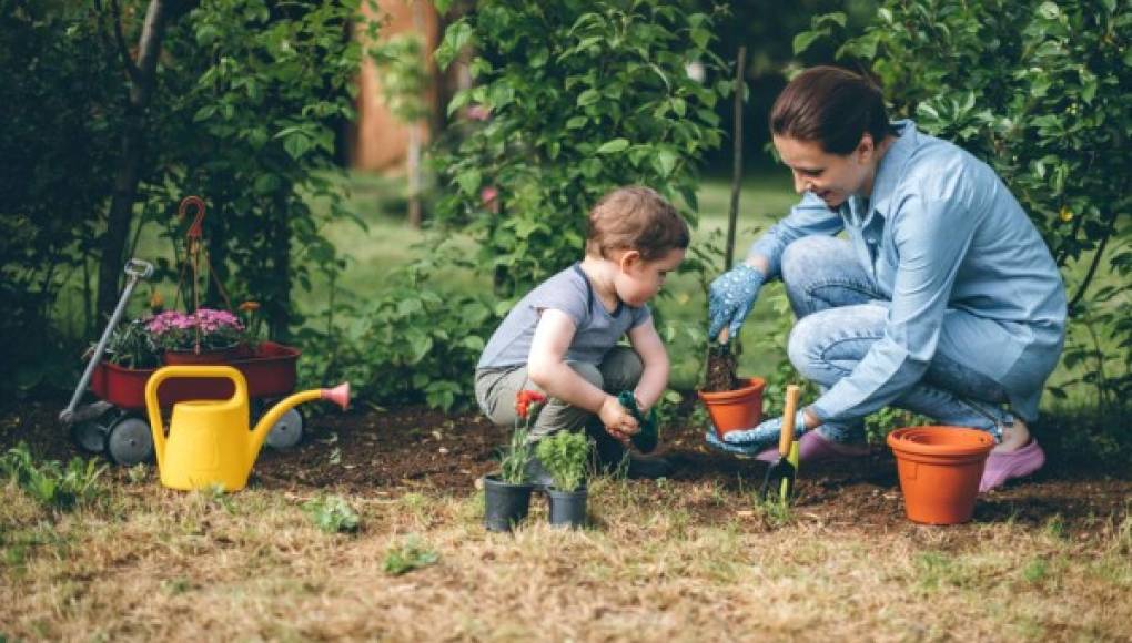 La jardinería también es para los niños