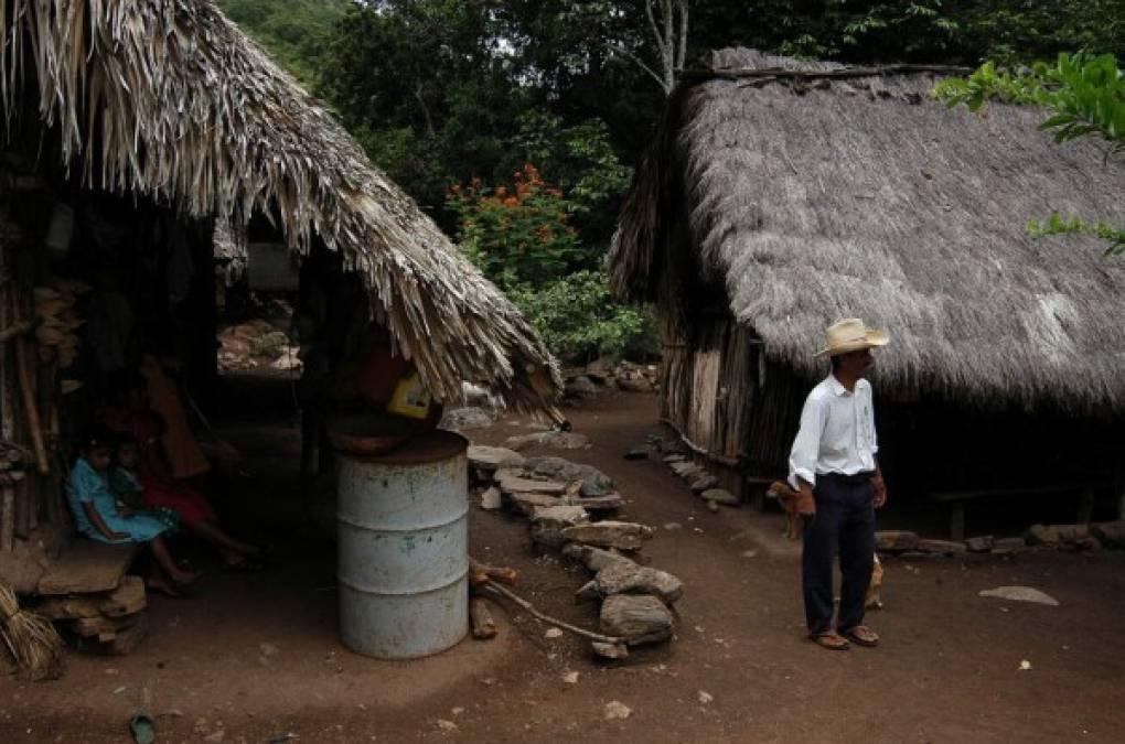 En comunidades de Copán Ruinas residen la mayoría de mayas chortís.