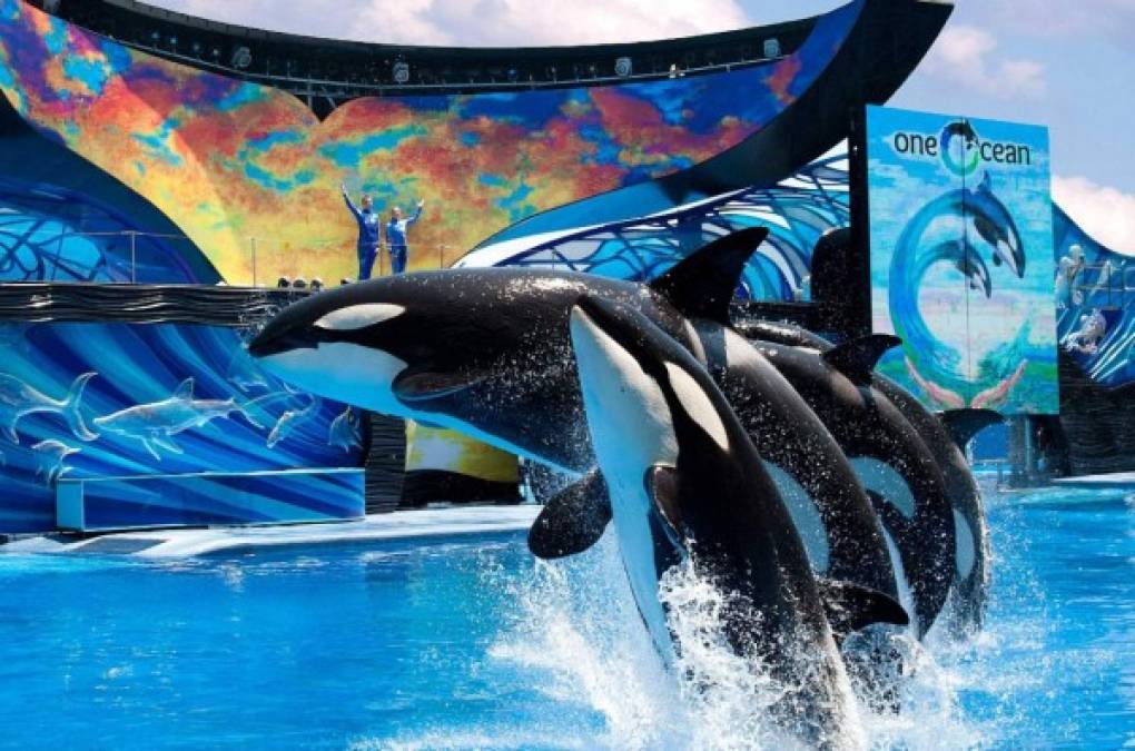 SeaWorld Orlando, el costo es: estacionamiento $25. Boleto de entrada $85. Comida $13. Hotel $49. Total: $172.