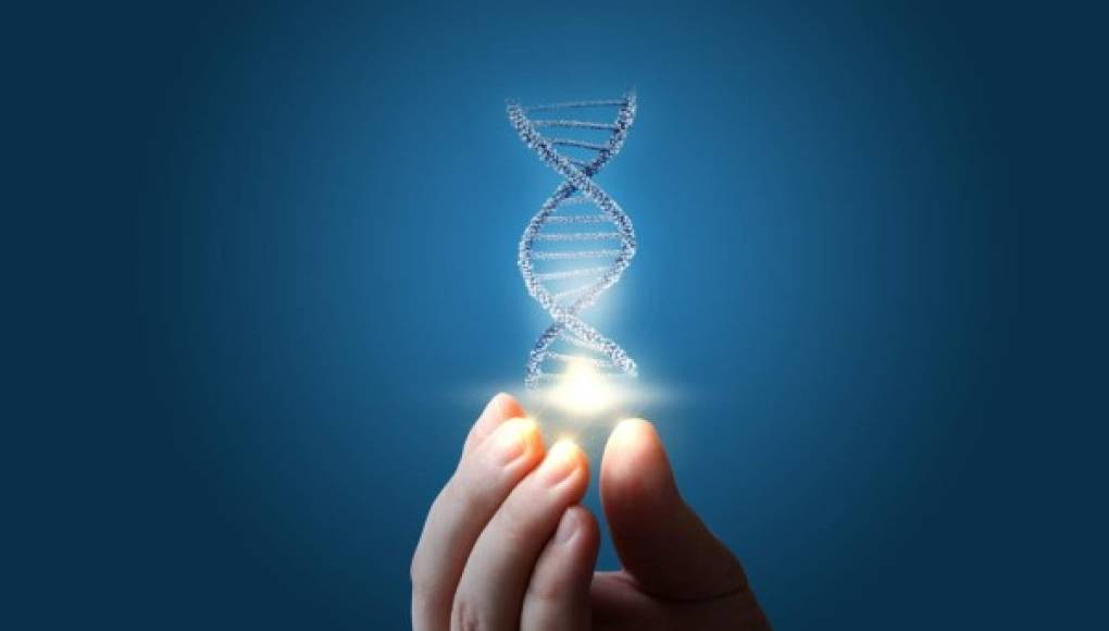 Identifican una nueva forma de ADN en las células humanas vivas