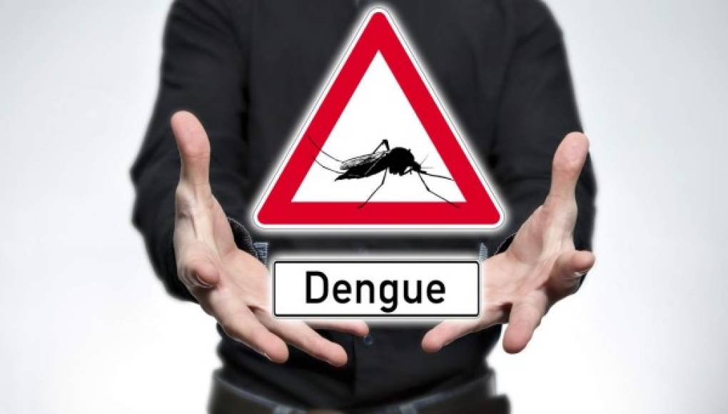 El virus del dengue podría potenciar el ataque del Zika