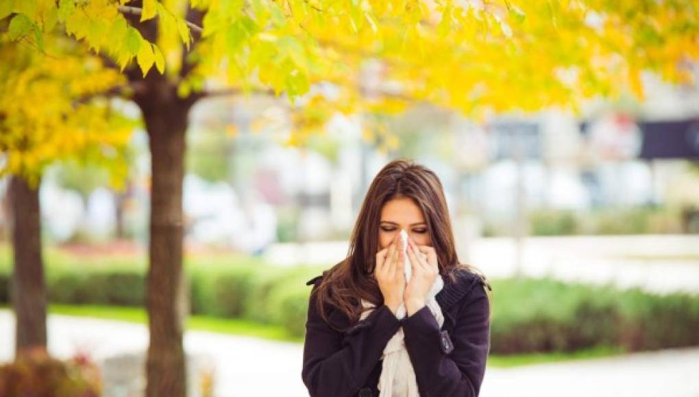 ¿Empeoran las alergias? El cambio climático tiene la culpa