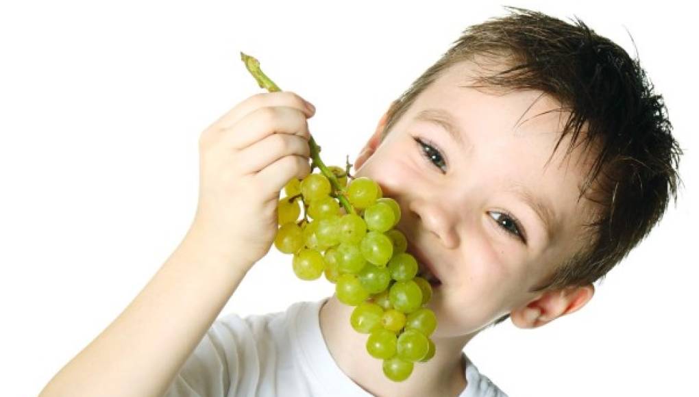 Las bayas y las uvas podrían mantener una buena respiración