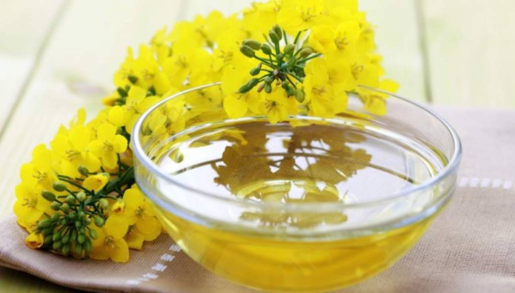 Los aceites vegetales son el 'oro líquido” que llenan de sabor y salud al organismo