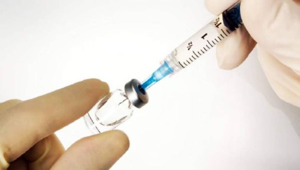 Científicos españoles buscan financiación para probar la vacuna del chikunguña