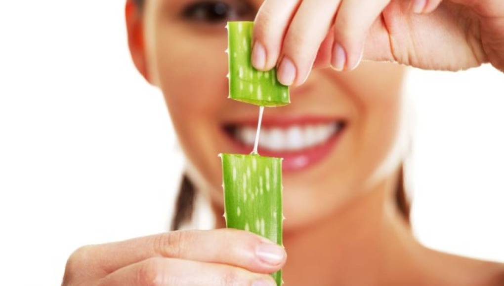 El poder nutritivo del aloe vera