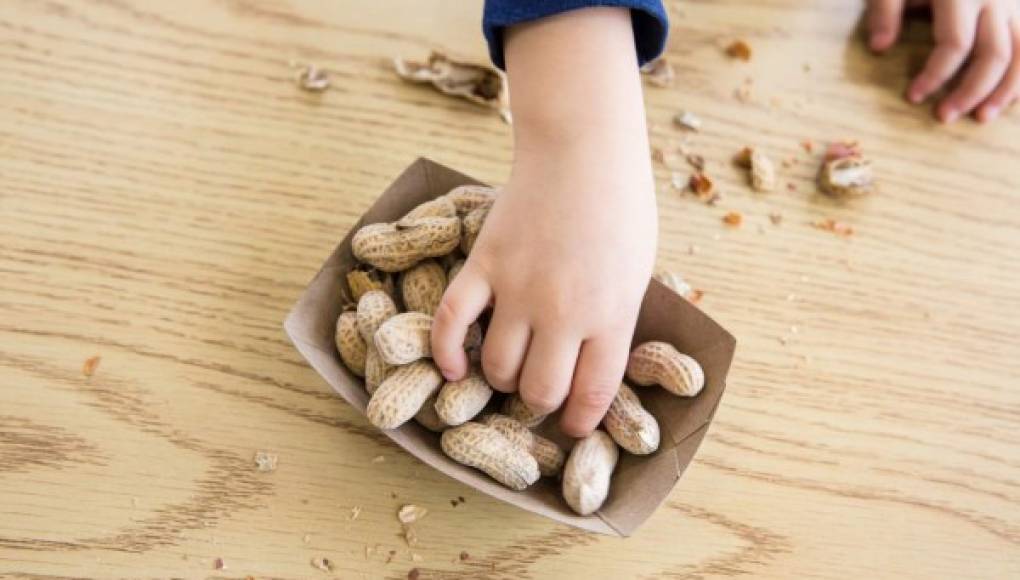 Unas nuevas directrices instan a la introducción temprana del cacahuate en los bebés con un alto riesgo
