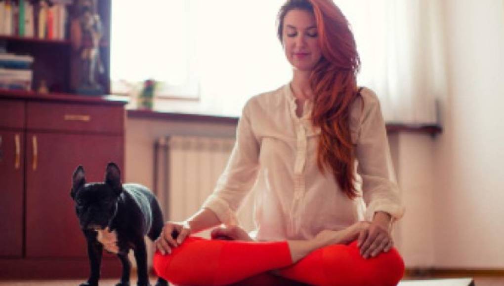 Yoga con animales, la nueva moda en Estados Unidos