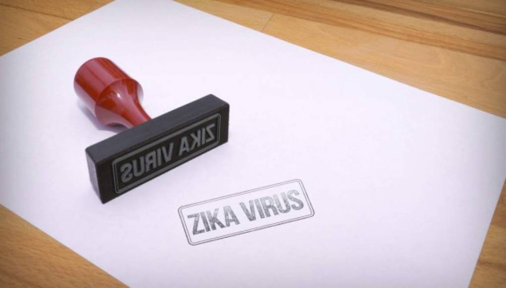 Conozca más del virus del Zika