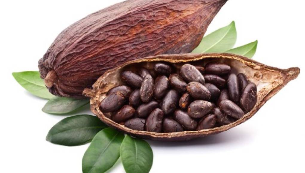 'Píldoras' de cacao para recuperar el sentido del gusto